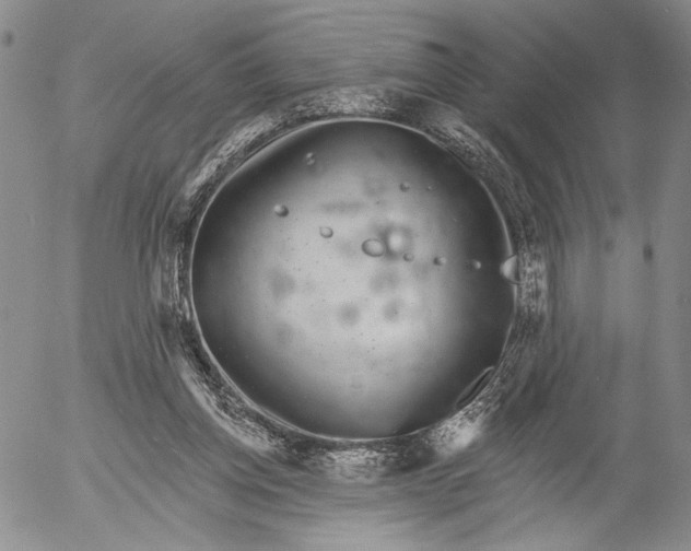 X0000052980158200507291600