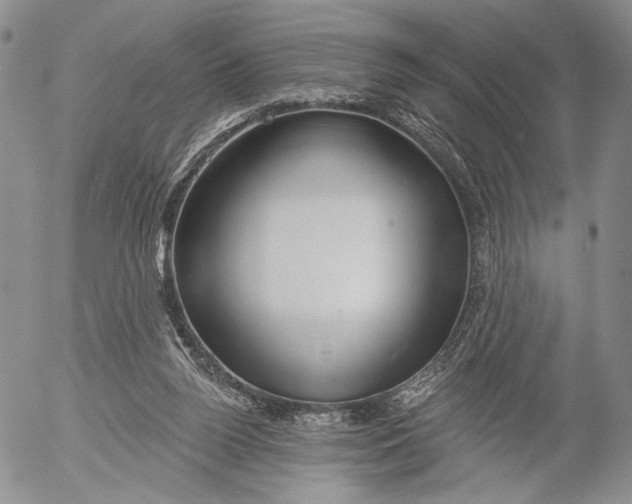 X0000052980160200507291600