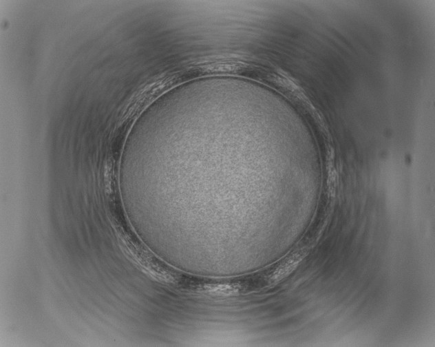 X0000052980161200507291600