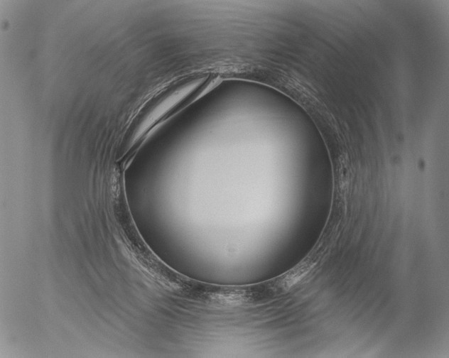 X0000052980164200507291600