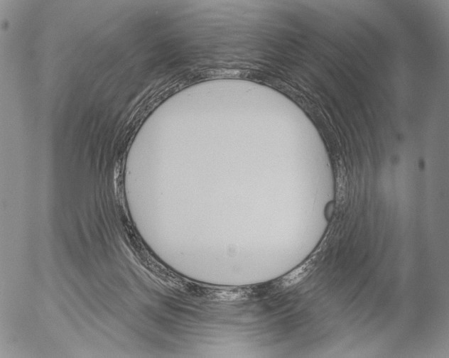 X0000052980166200507291600