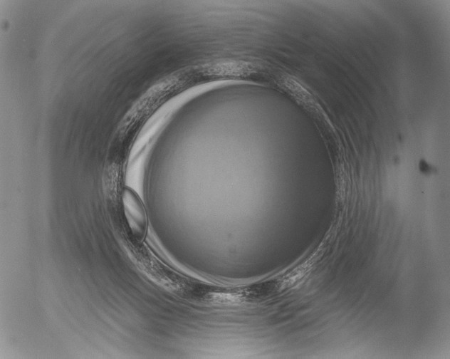 X0000052980167200507291600