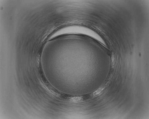 X0000052980168200507291600