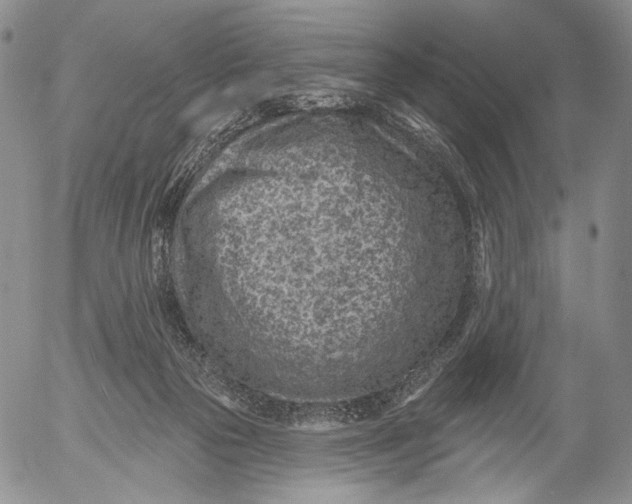 X0000052980169200507291600