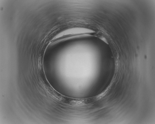 X0000052980170200507291600