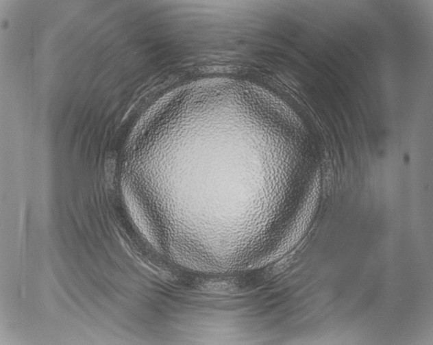 X0000052980171200507291600