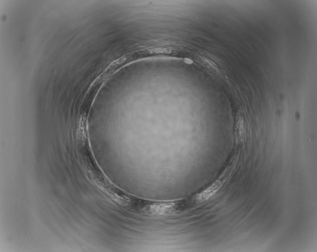 X0000052980172200507291601