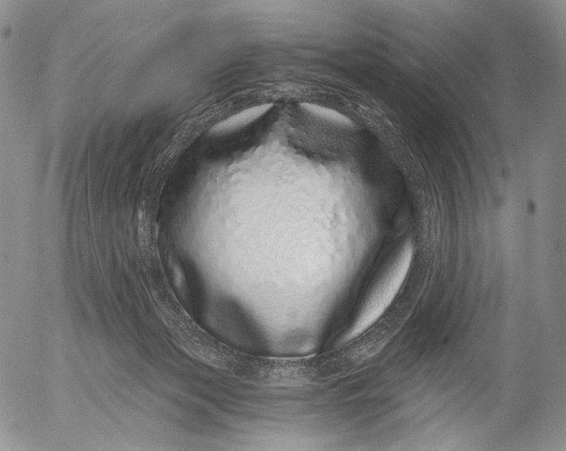 X0000052980173200507291601