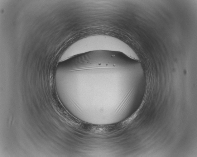 X0000052980174200507291601