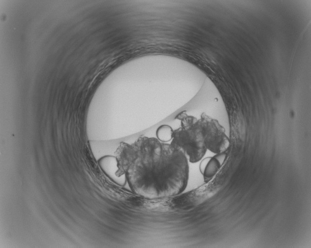 X0000052980175200507291601