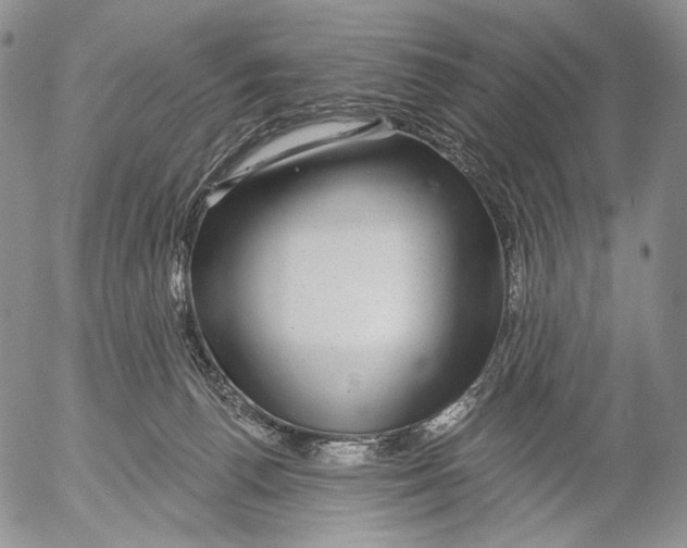 X0000052980176200507291601