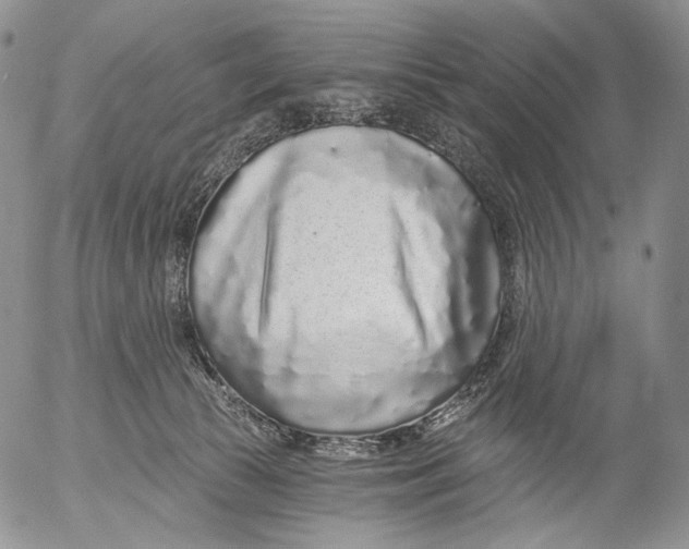 X0000052980177200507291601