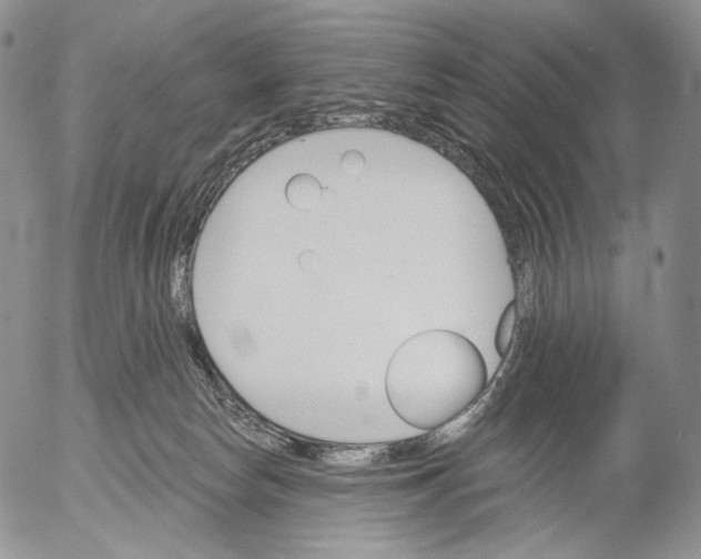 X0000052980178200507291601