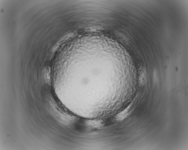 X0000052980179200507291601