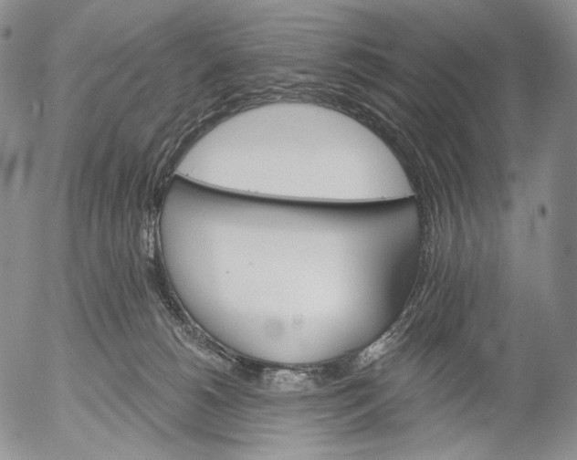 X0000052980180200507291601