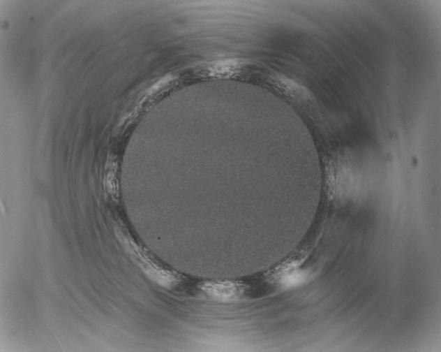 X0000052980181200507291601