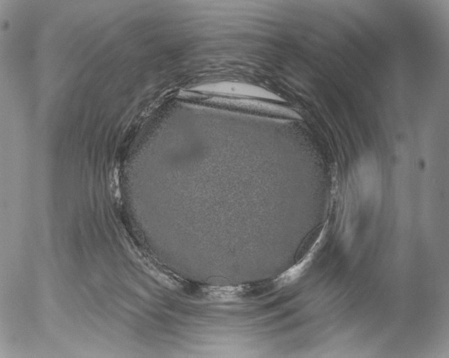 X0000052980182200507291601