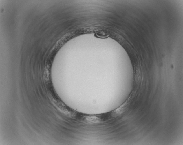 X0000052980183200507291601