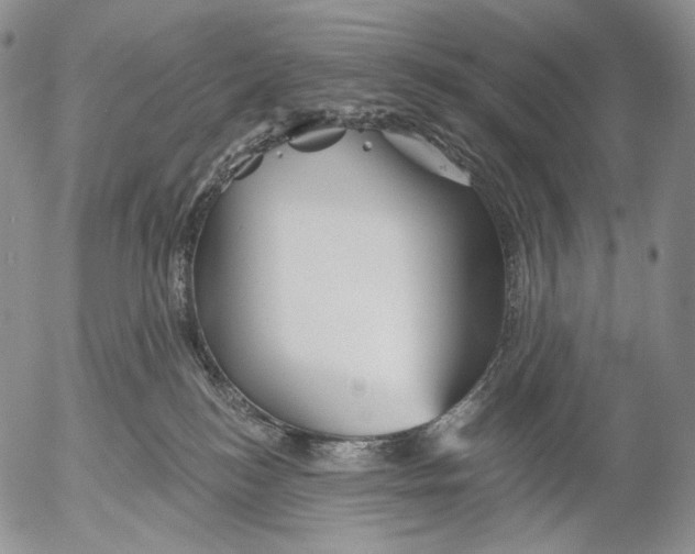 X0000052980184200507291601