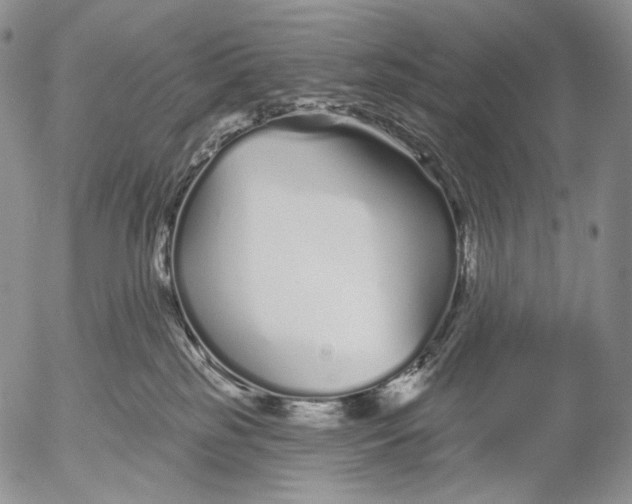 X0000052980185200507291601