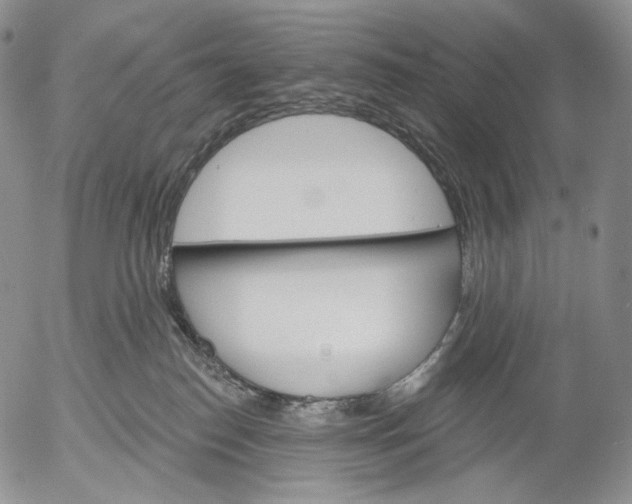 X0000052980186200507291601