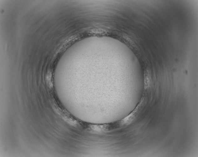 X0000052980187200507291601