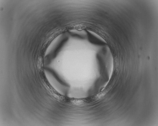 X0000052980189200507291601