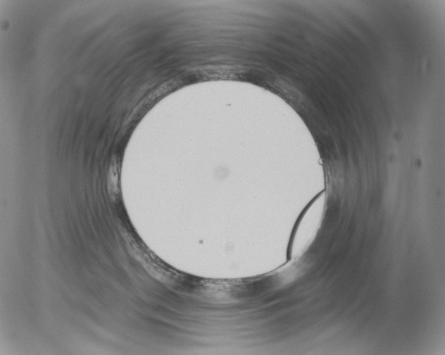 X0000052980190200507291601