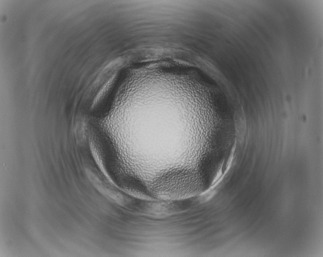 X0000052980191200507291601