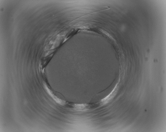 X0000052980192200507291601