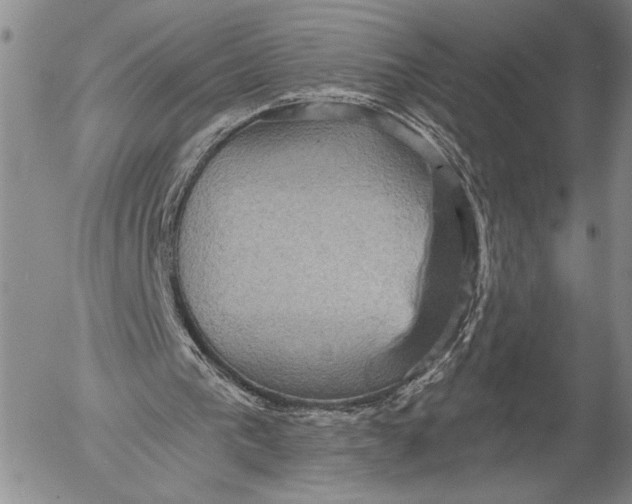 X0000052980193200507291600