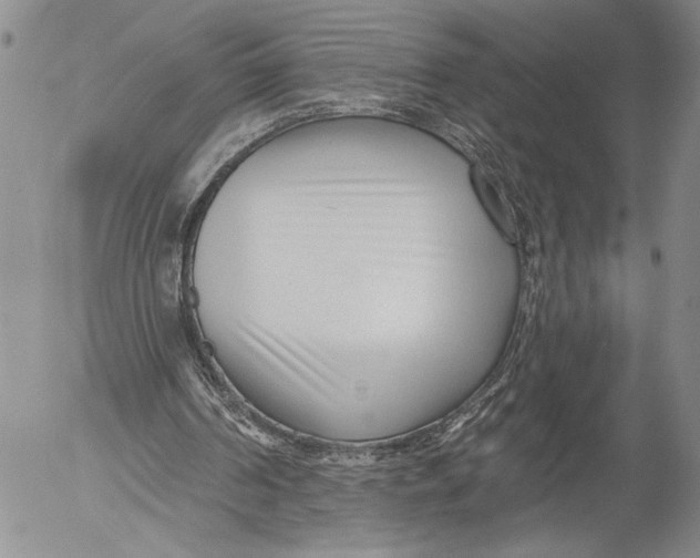 X0000052980194200507291600