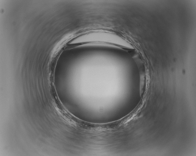 X0000052980197200507291600