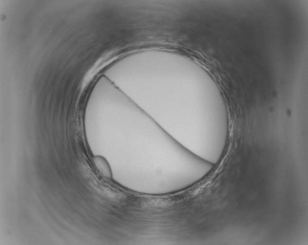 X0000052980198200507291600