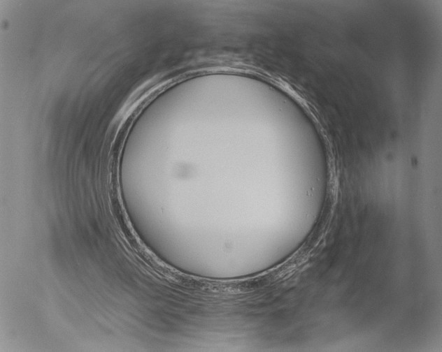 X0000052980199200507291600