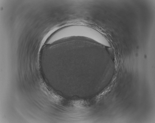 X0000052980200200507291600