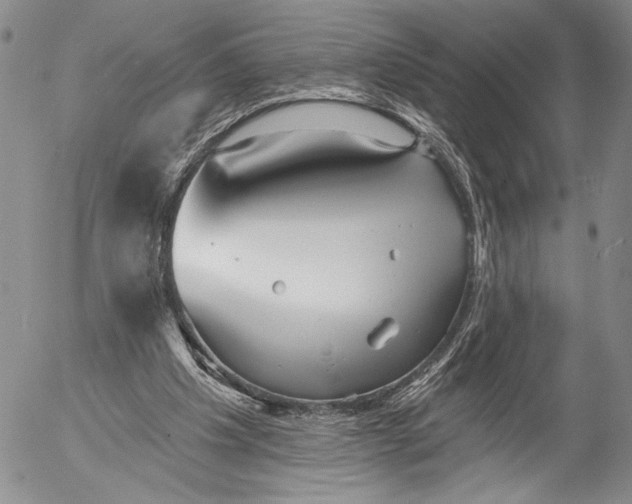 X0000052980201200507291600