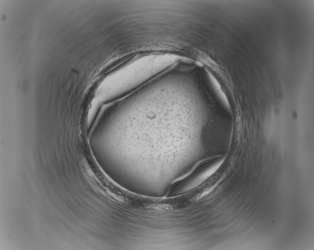 X0000052980203200507291600