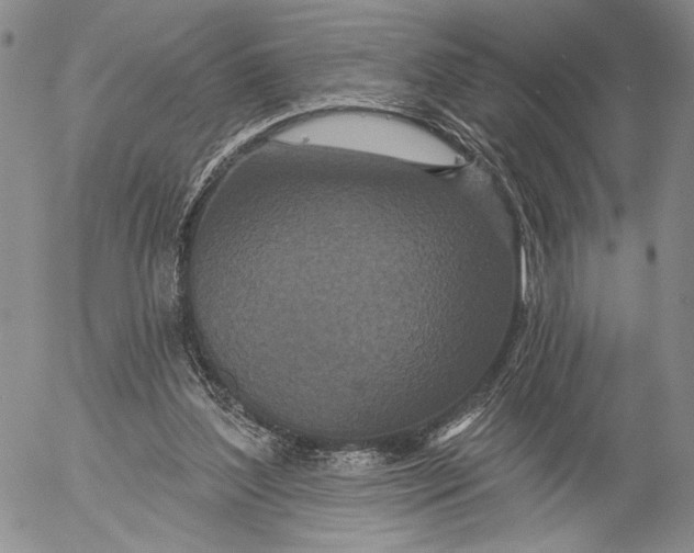 X0000052980204200507291600