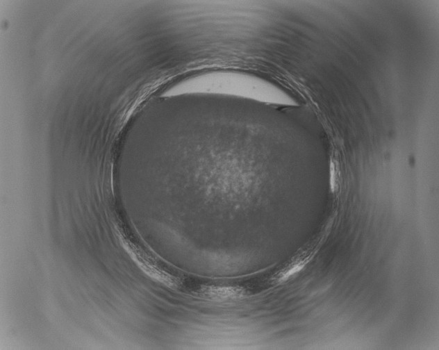 X0000052980205200507291600