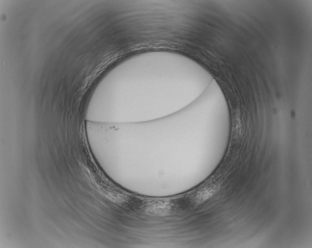 X0000052980206200507291600