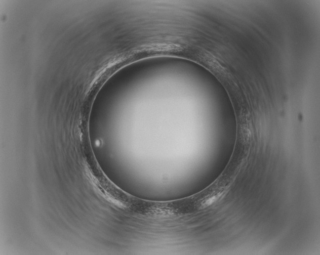 X0000052980207200507291600