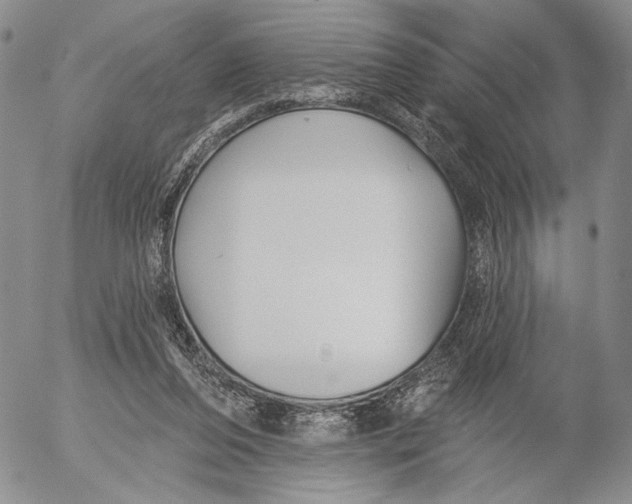 X0000052980208200507291600