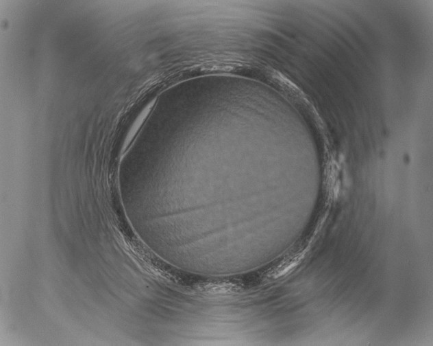 X0000052980209200507291600