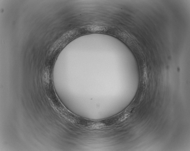 X0000052980210200507291600