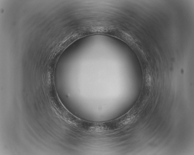 X0000052980211200507291600