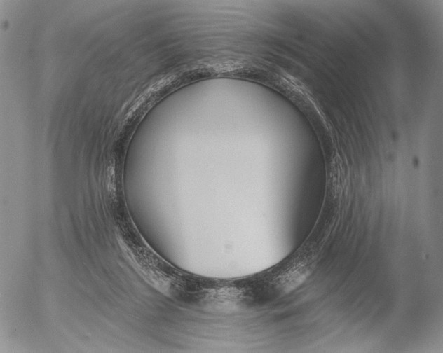 X0000052980212200507291600