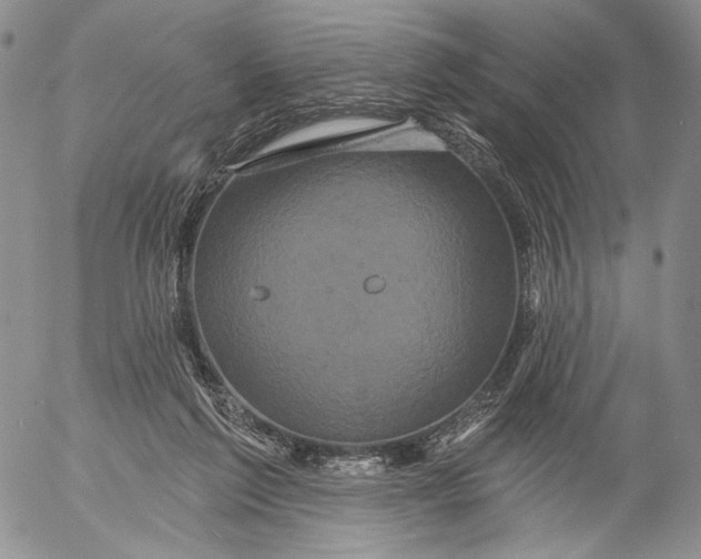 X0000052980213200507291600