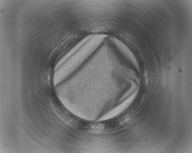 X0000052980214200507291600