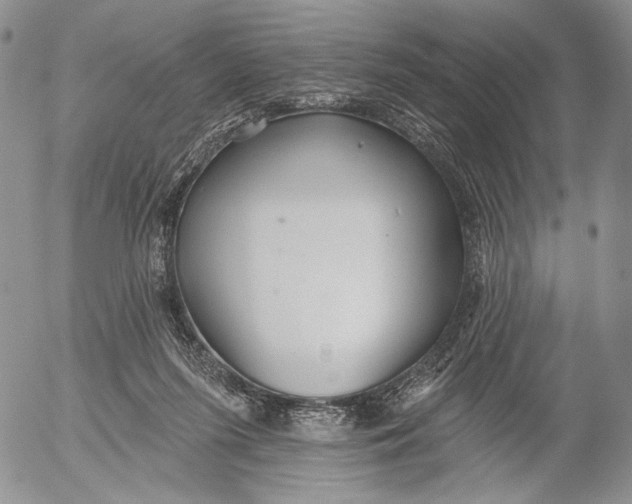 X0000052980215200507291600